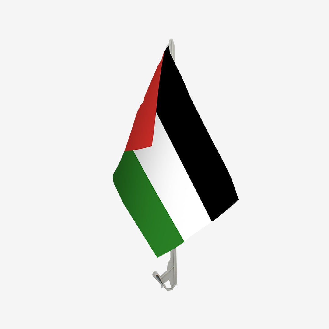 Palestine Flag